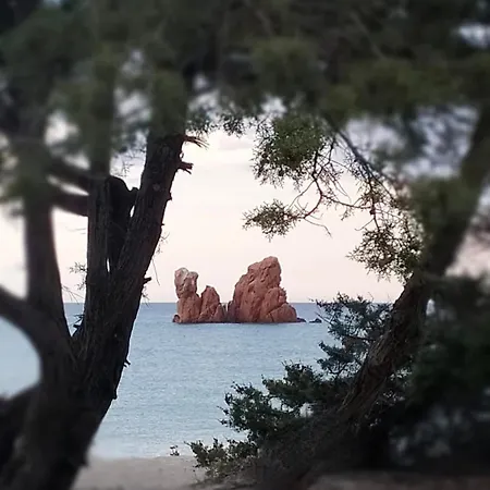 Il Canneto Lägenhet