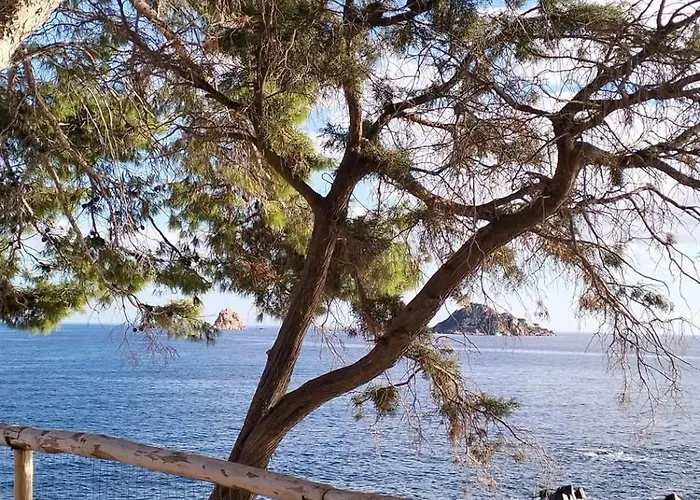 Il Canneto * 洛特佐莱