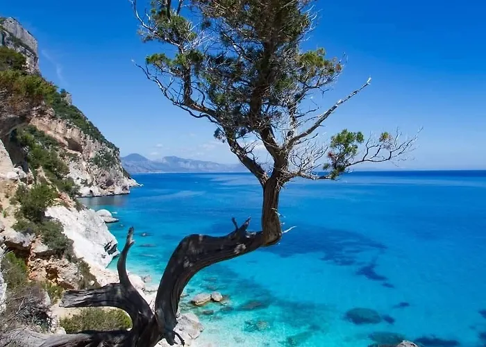 公寓 Il Canneto 洛特佐莱